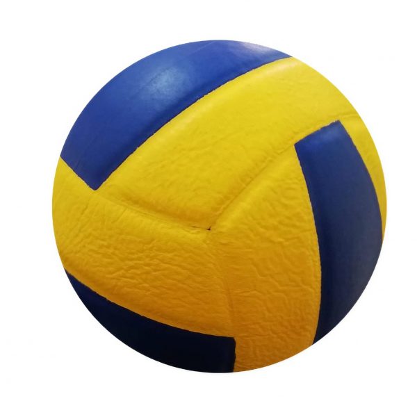 Volley Ball