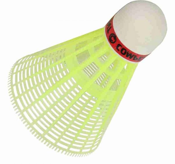 Badminton Shuttlecock